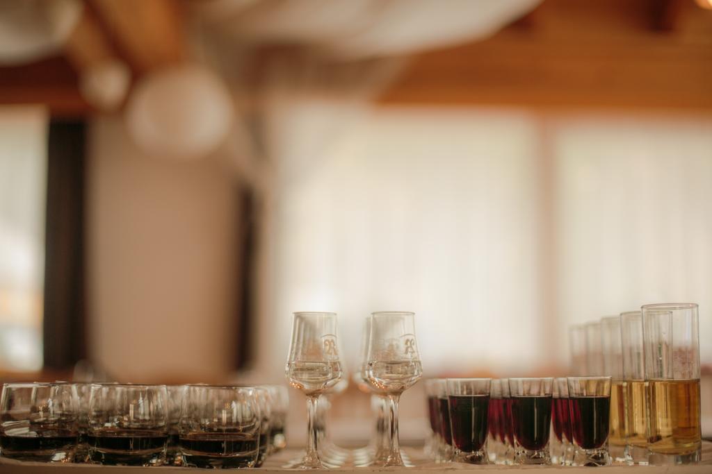Domacija Vodnik & Apartments Cerklje na Gorenjskem Bagian luar foto